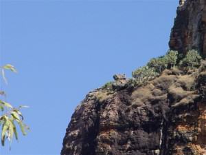 Jabiru and Kakadu National Park - Alice Springs