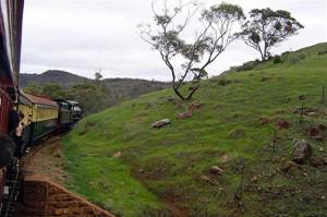161. Rollin' round the bend (Small) Flinders Ranges - Flinders Ranges