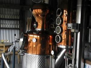 164 The Still (Small) Jindabyne and the Snowy Mountains -