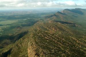 199. Backbone of the Flinders (Small) Flinders Ranges - Flinders Ranges
