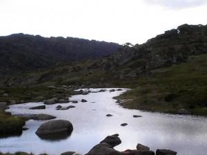 240 Spenser's Creek 1730m (Small) Jindabyne and the Snowy Mountains -