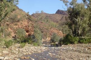258. Another view of the creek (Small) Flinders Ranges - Flinders Ranges