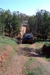 293. Downwards (Small) Flinders Ranges - Flinders Ranges