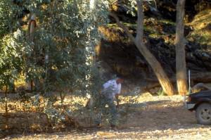 331. A Bunyip! (Small) Flinders Ranges - Flinders Ranges