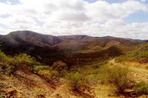 382. The Welcome Pound (Small) Flinders Ranges - Flinders Ranges
