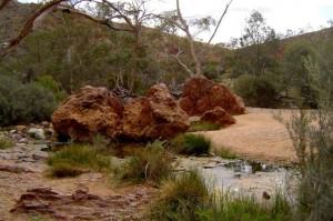 401. Paralana Hot Springs (Small) Flinders Ranges - Flinders Ranges