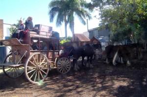 14 Back from our ride Longreach - Longreach