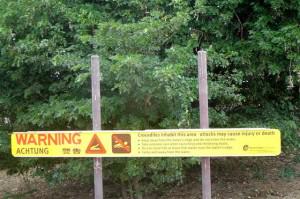 Crocodilke warning