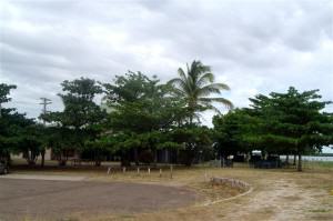 Sunset Tavern behind the trees