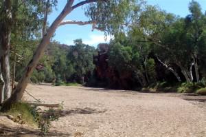 Creekbed in Trephina Gorge