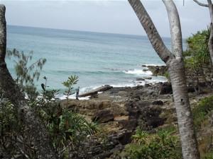 In Noosa Heads National Park