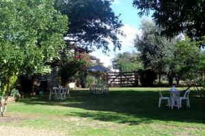 The grounds at Riversands Wines