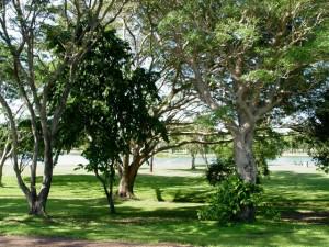 Lake Alexander