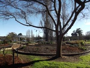 Queen Elizabeth Park