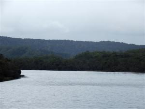 Gordon River