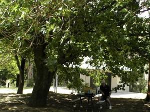 Point Hut Picnic Ground