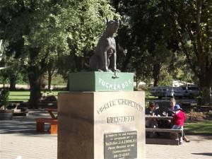 The Dog on the Tuckerbox