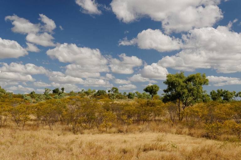 Scenery,Near,Cloncurry,,Outback,Queensland,,Australia