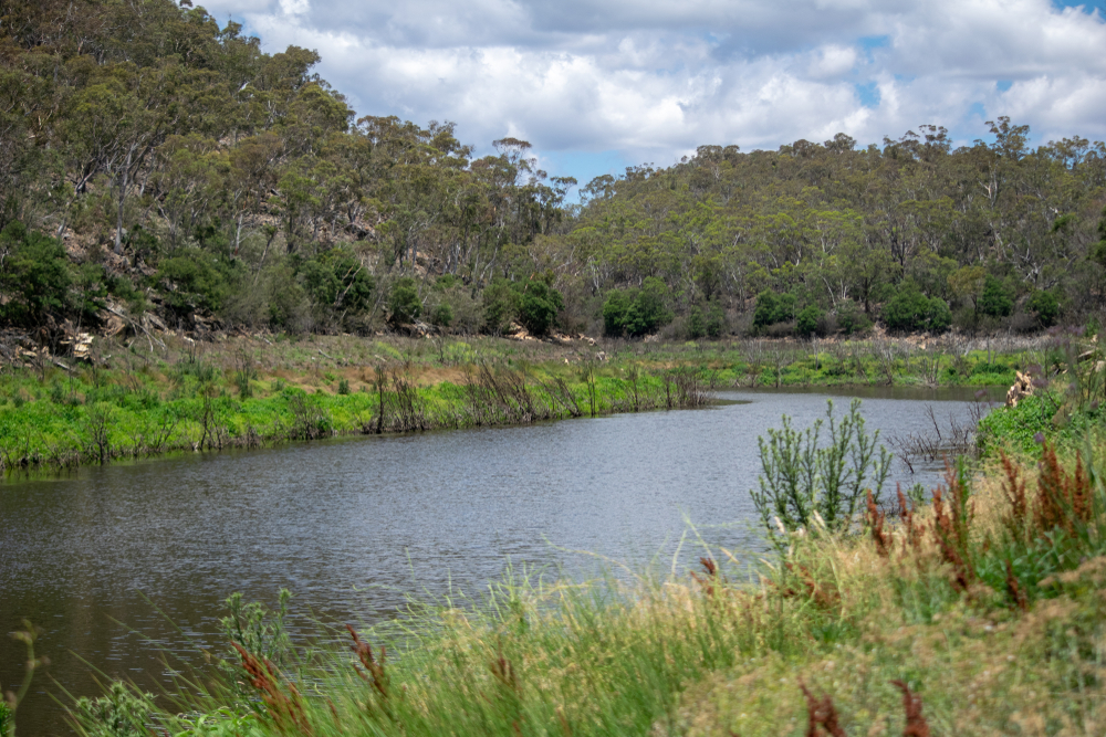 Queanbeyan,River,From,Near,Googong,Reservoir