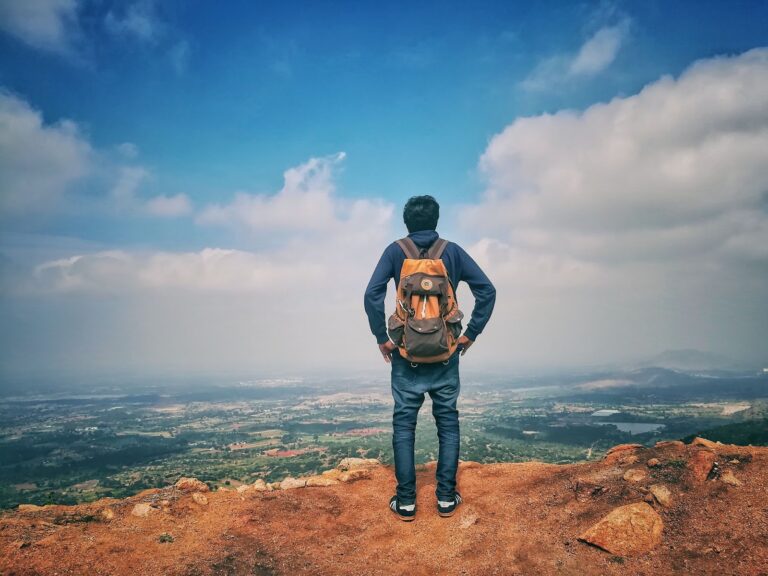 The New Normal Traveller