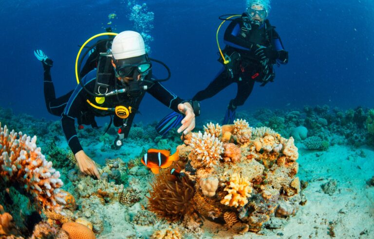 Adventure on the great barrier reef for snorkelling and diving