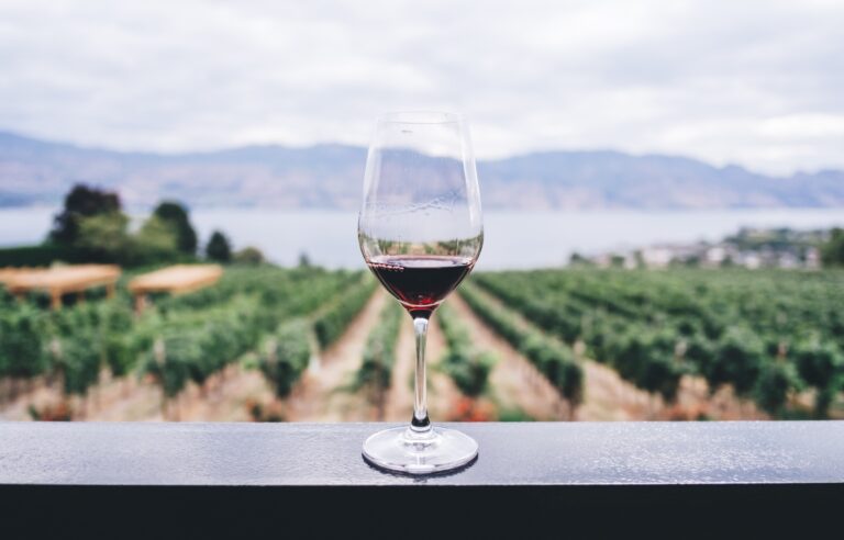 the ultimate guide in Australian wine regions