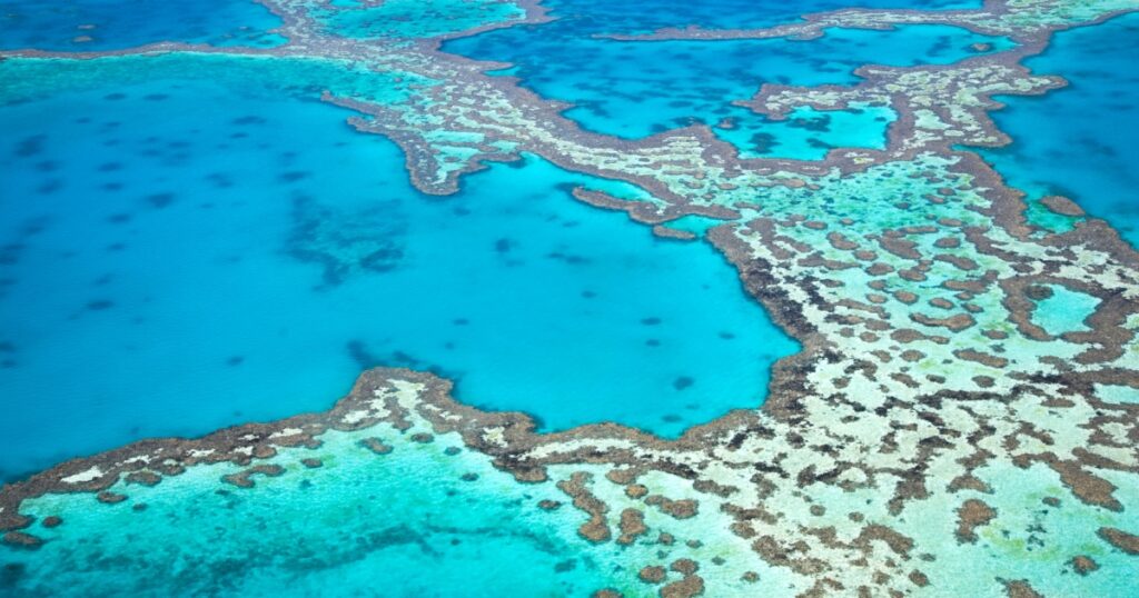 how to choose the best great barrier reef tour