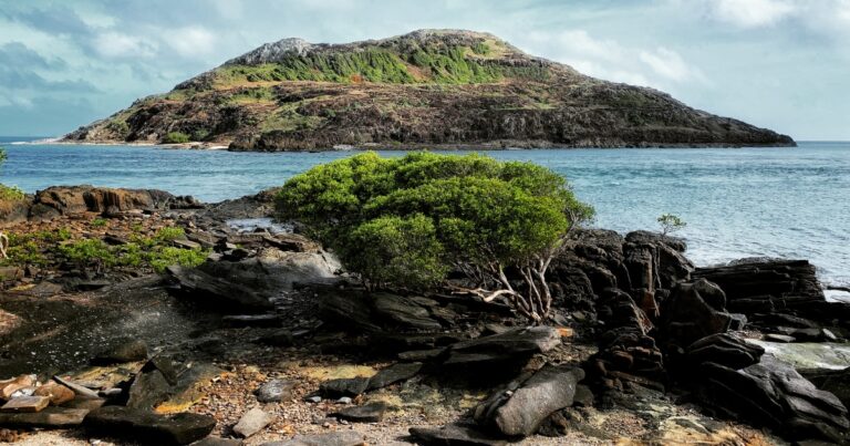 off the grid adventures for remote destinations in australia